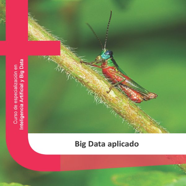 BIG DATA APLICADO